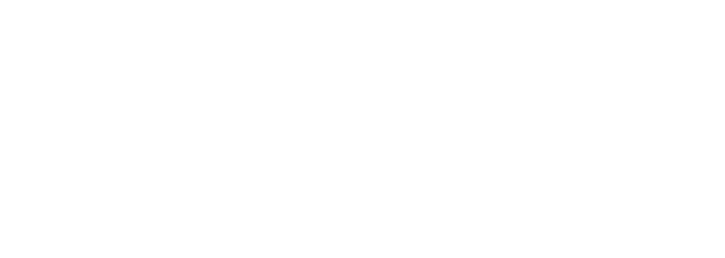 Beeyond Travel Gear